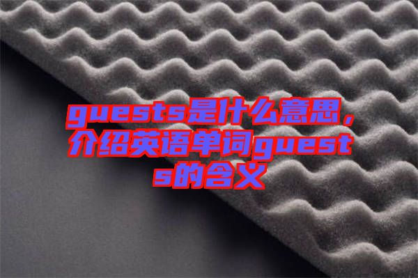 guests是什么意思，介紹英語單詞guests的含義
