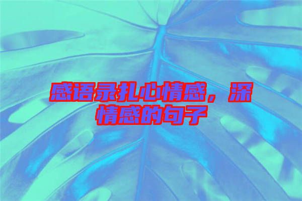 感語錄扎心情感，深情感的句子