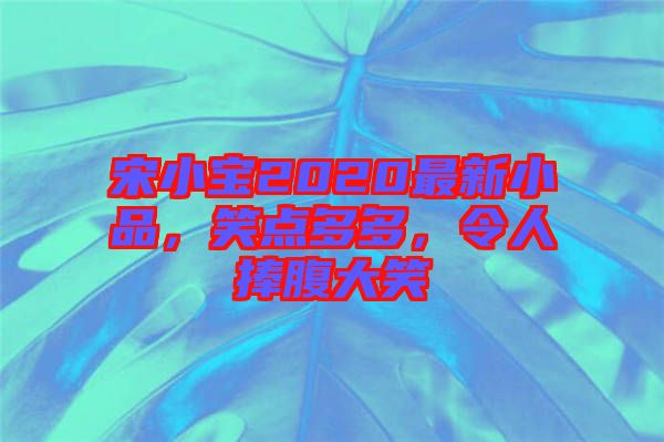宋小寶2020最新小品，笑點多多，令人捧腹大笑
