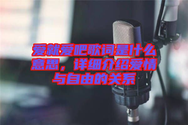 愛就愛吧歌詞是什么意思，詳細(xì)介紹愛情與自由的關(guān)系