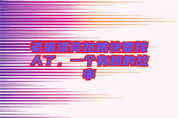 老貓漂亮姑娘快要嫁人了，一個有趣的故事
