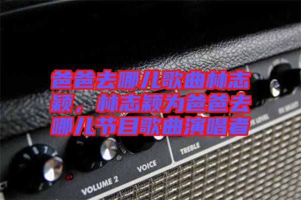 爸爸去哪兒歌曲林志穎，林志穎為爸爸去哪兒節(jié)目歌曲演唱者