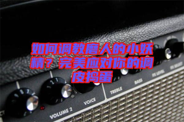 如何調(diào)教磨人的小妖精？完美應(yīng)對(duì)你的調(diào)皮搗蛋