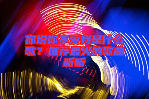 你說你不愛我是什么歌？推薦最火的歌曲聽聽