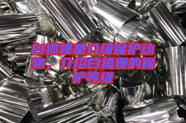 白狐貍是幾級保護(hù)動物，介紹白狐貍的保護(hù)等級