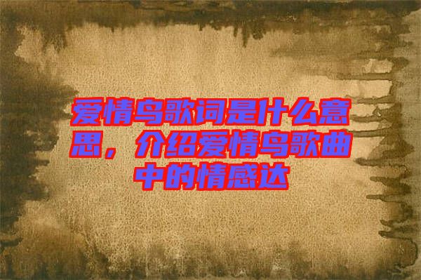 愛(ài)情鳥(niǎo)歌詞是什么意思，介紹愛(ài)情鳥(niǎo)歌曲中的情感達(dá)