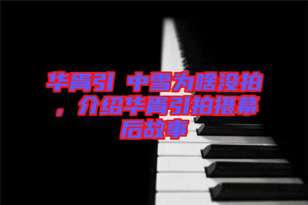 華胥引柸中雪為啥沒拍，介紹華胥引拍攝幕后故事