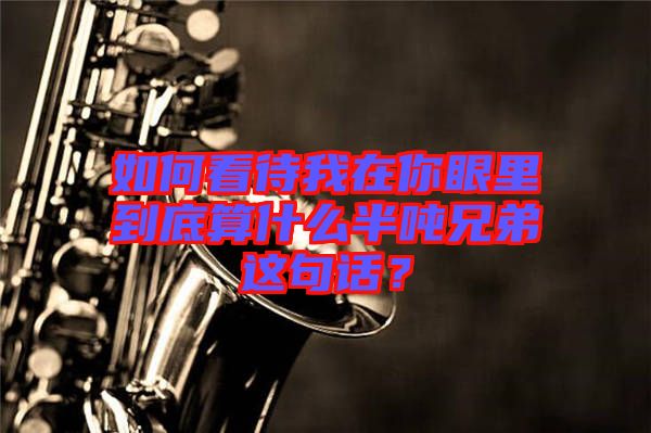 如何看待我在你眼里到底算什么半噸兄弟這句話(huà)？