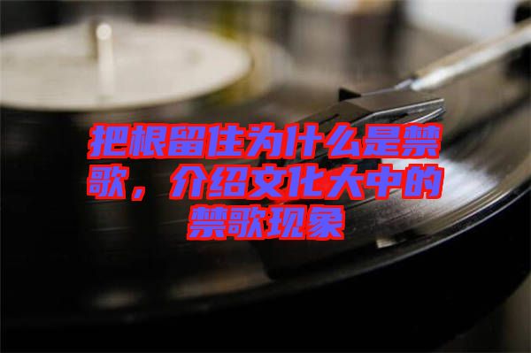 把根留住為什么是禁歌，介紹文化大中的禁歌現象