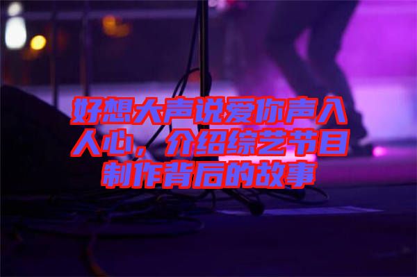 好想大聲說愛你聲入人心，介紹綜藝節目制作背后的故事