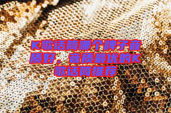 K歌話筒哪個牌子音質好，音質最優的K歌話筒推薦
