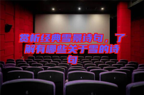 賞析經典雪景詩句，了解有哪些關于雪的詩句