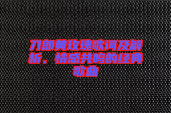 刀郎黃玫瑰歌詞及解析，情感共鳴的經典歌曲